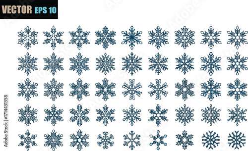 A collection of intricate and diverse snowflake illustrations showcasing various symmetrical designs and delicate patterns for winter themes