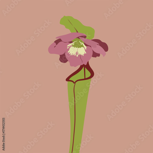 Stylized pitcher plant illustration with blooming flower against a light brown background