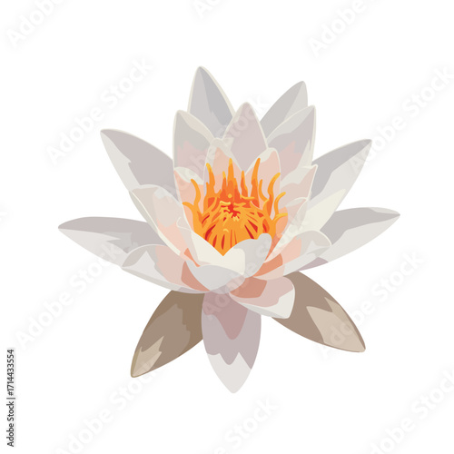 Stylized single water lily with gray-white petals and vivid orange stamens, isolated