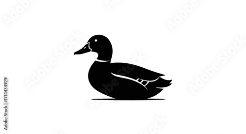 Black duck illustration on white background.