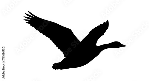 Silhouette of a goose in flight against a white background.