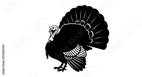 Black and white illustration of a turkey with its tail feathers fanned out.