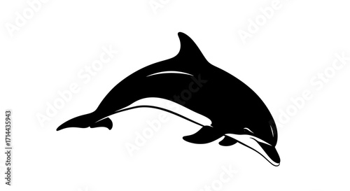 Silhouette of a dolphin leaping out of water.