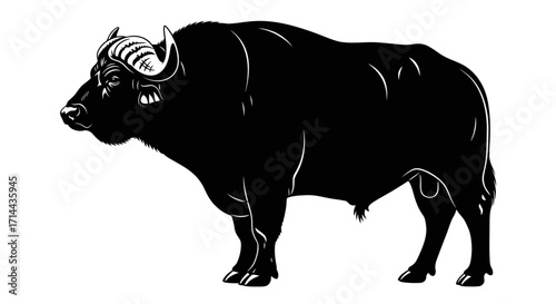 Silhouette of a Cape Buffalo, detailed illustration.