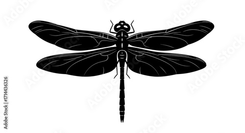 Black and white illustration of a dragonfly with detailed wings and body, isolated on white.