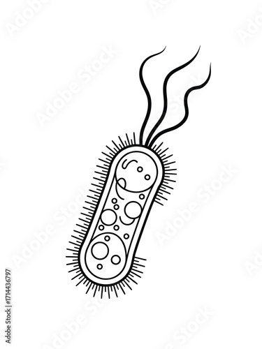 Hand drawn illustration of a single bacterium with flagella and pili