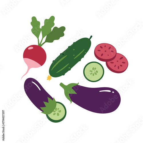 Cartoon assortment of fresh raw vegetables including radish, eggplants, lotus root & cucumber
