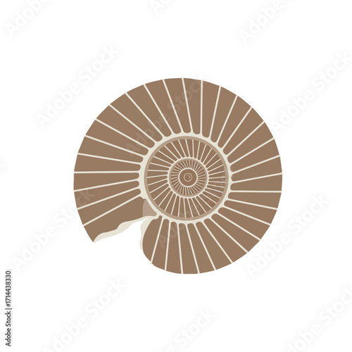 Stylized ammonite fossil in tan with off-white spiral sections and a slight imperfection