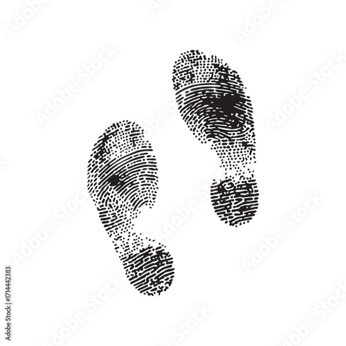 Two Distinct Black and White Footprints Isolated on a White Background