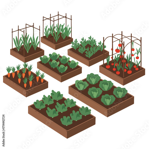 Isometric garden beds show carrots, tomatoes, cabbage, lettuce, onions, with trellis systems