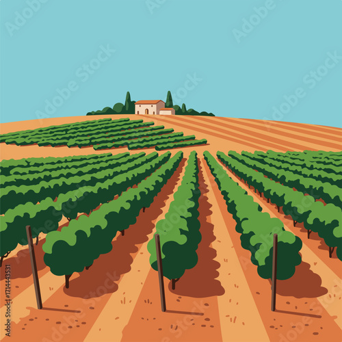 Vineyard landscape with orderly rows of grape vines leading toward a house on a hill