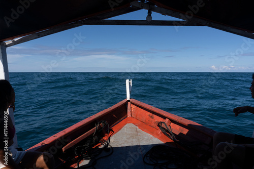 Wallpaper Mural Humpback whale in Itacaré Bahia Brazil ocean at sunset with blue textured sea sky and tropical nature wildlife photography baleia jubarte  Torontodigital.ca