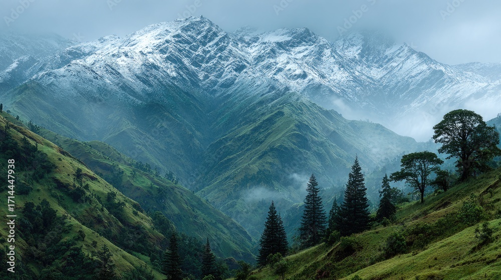 Fototapeta premium Green Valley with Snowy Peaks