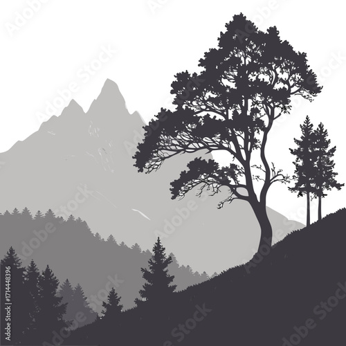 A dramatic monochromatic silhouette of a majestic mountain range shrouded in mist with a foreground of layered evergreen trees and a large deciduous tree on a grassy slope under a bright white sky