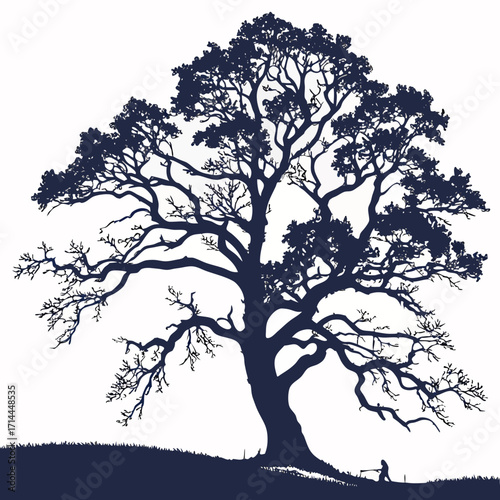 Majestic silhouette of an ancient oak tree with gnarly branches and a lone figure resting on a bench beneath its sprawling canopy on a grassy hillside
