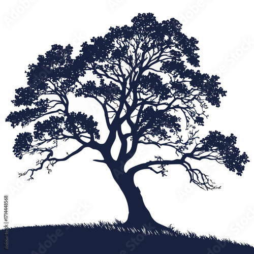 A solitary ancient gnarled tree with a dense canopy of leaves and branches silhouetted against a pure white background standing on a grassy hill