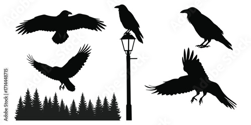 Collection of Black Raven Silhouettes in Various Poses and Settings Keywords: raven, crow, bird, silhouette, black, flying