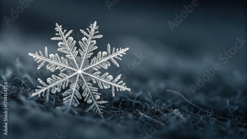 Detailed snowflake crystals on dark background with soft light and open copy space