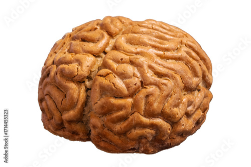 a realistic, brown, sugar-coated brain-shaped pastry. The pastry's surface is detailed with intricate, folded, and wrinkled textures resembling a human brain.