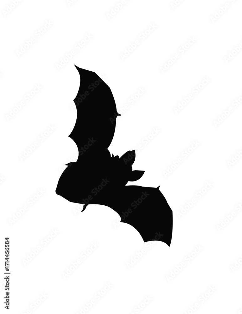Fototapeta premium bat silhouette isolated on white