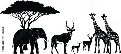 African wildlife silhouettes under acacia tree with elephant, giraffes, antelopes, and deer in savanna landscape, black and white vector illustration