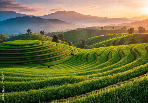 Green Rice Terraces