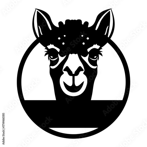 Illustration of a black and white llama head inside a circle with a flat bottom portion design element