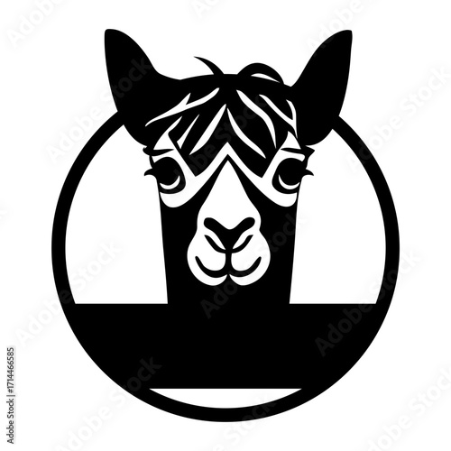 Illustration of an alpaca head inside a circle with a solid bottom section in black and white color