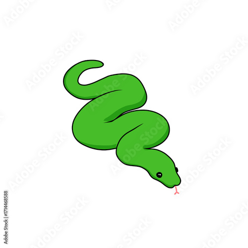 carnivora