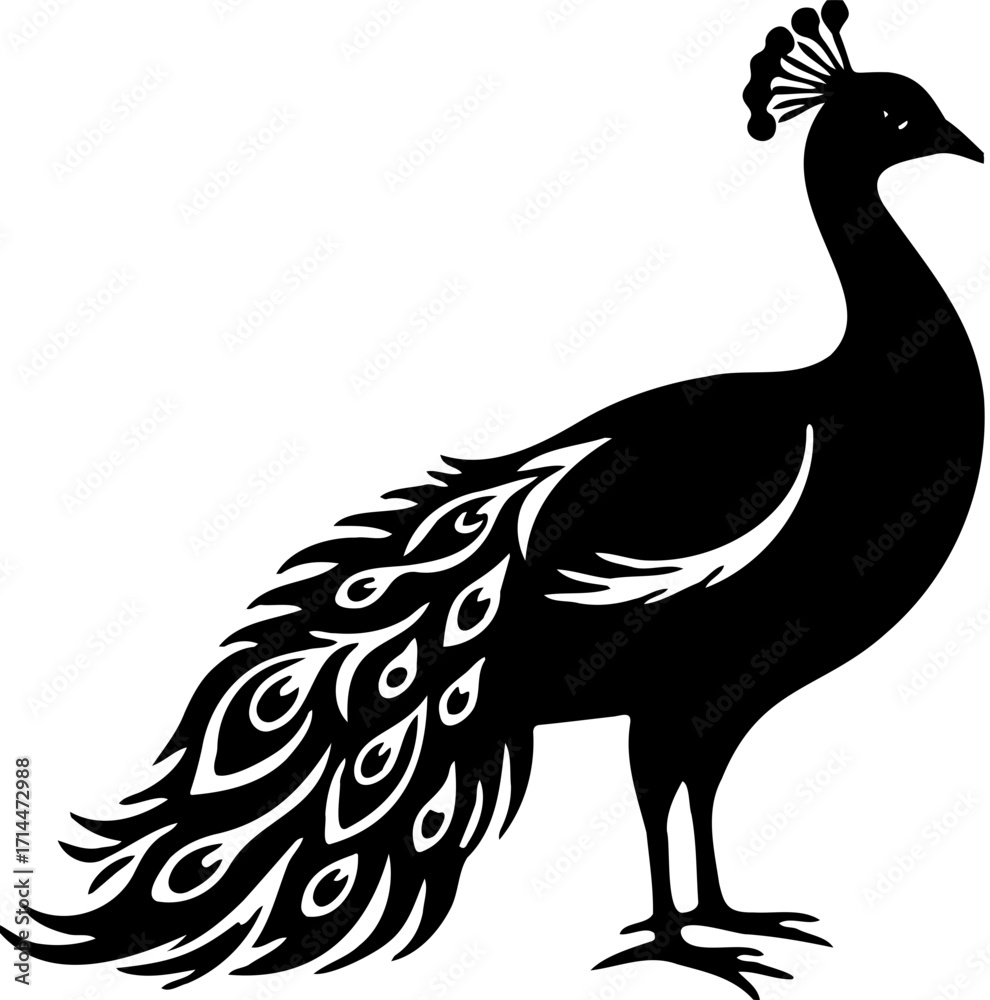 Fototapeta premium black and white peacock vector