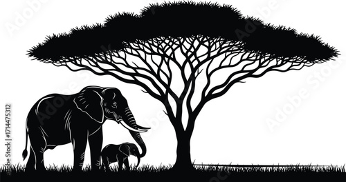 Silhouette of African elephants under acacia tree in savanna landscape, wildlife nature scene, safari adventure, black and white vector illustration