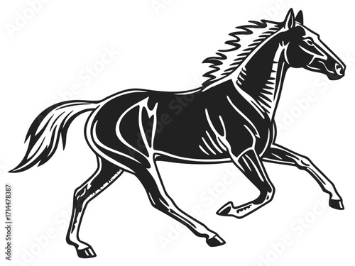 black horse vector illustration