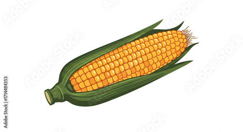 Fresh Corn on the Cob with Green Husks, Isolated on Gradient Background png clear alpha channel cutout isolated on transparent background