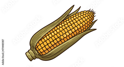 Illustration of a Fresh Corn Cob with Green Husks on a Brown Background png clear alpha channel cutout isolated on transparent background