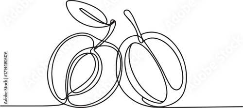 Continuous one line drawing of plums in minimalist modern style vector illustration representing fresh fruit and natural food concept