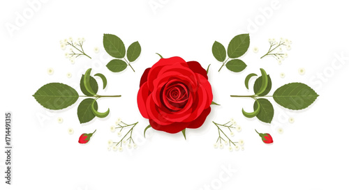 Red rose bloom centered in symmetrical botanical design, adorned with green leaves and white floral accents, symbolizing love, beauty, and natural grace