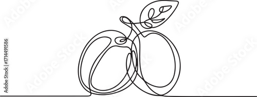 Continuous one line drawing of plums in minimalist modern style vector illustration representing fresh fruit and natural food concept