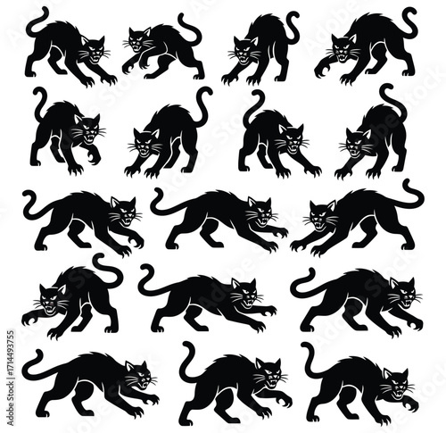 Black cats in various predatory poses on a white background animal feline