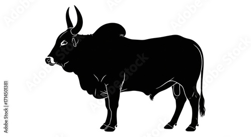 Detailed Black Silhouette Zebu Bull Standing Side Profile Vector Graphic. Indian Cattle Farm Animal Outline with Hump and Horns.