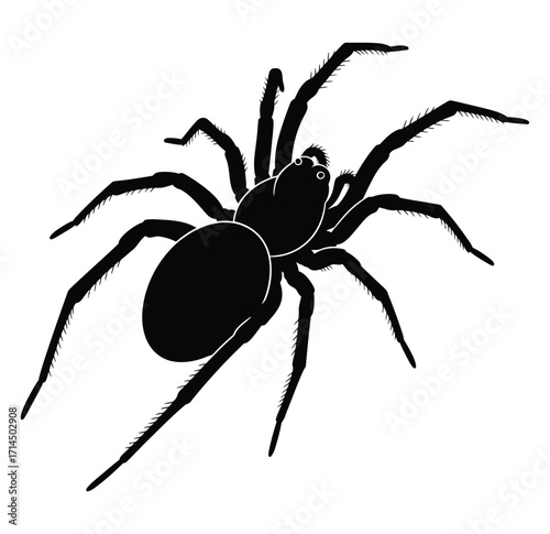 Black silhouette of a tarantula spider with eight legs and hairy texture arachnid