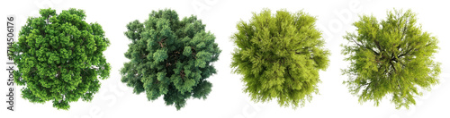 PNG Lush green tree tops view, element set on transparent background