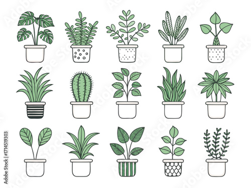 Vector art of a delightful collection of potted plants, , showcasing various shapes, sizes, and leaf patterns, perfect for adding a touch of greenery to any interior space