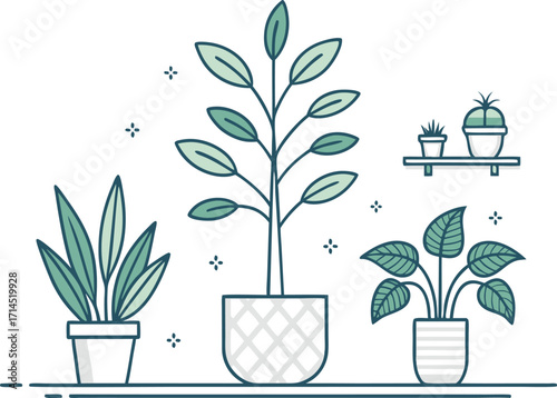 Illustration of various potted plants on a shelf, , showcasing a collection of indoor greenery for home decor and botanical themes