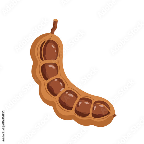 A detailed flat 2D vector illustration of a ripe tamarind pod, clearly visible and half-open, set against a clean, plain white background.