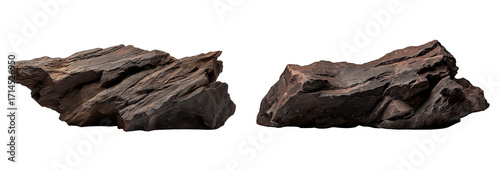 large piece of dark brown wood with a rock on the side