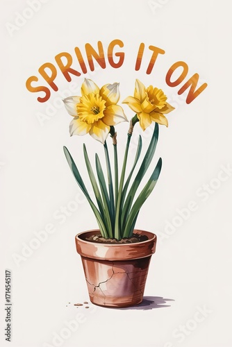 Daffodils in Cracked Pot with 