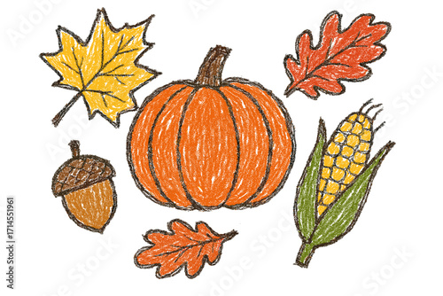 Autumn harvest elements with pumpkin leaves acorn and corn hand drawn in pencil and crayon for seasonal Halloween illustration