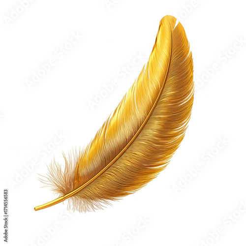 A single elegant golden feather with intricate details and soft fluffy barbs isolated on transparent background