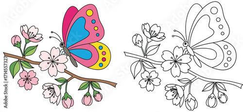 Colorful Butterfly on Cherry Blossom Branch - Spring Flower and Insect Cartoon Vector Illustration for Coloring Book
