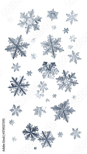 Winter snowflakes, frosty design